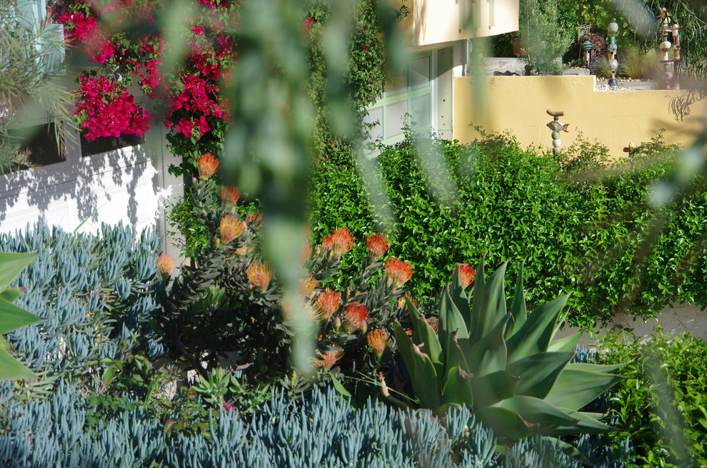 Modelo de camino de jardín de secano minimalista de tamaño medio en primavera en patio delantero con exposición total al sol
