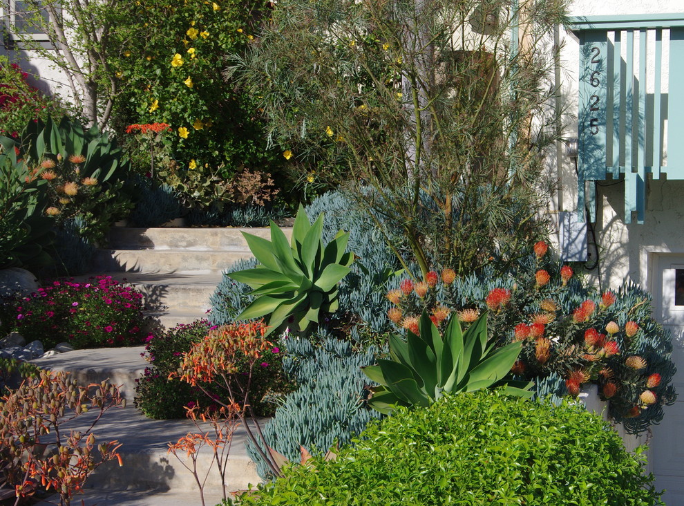 Idee per un giardino xeriscape contemporaneo esposto in pieno sole di medie dimensioni e davanti casa in primavera con un ingresso o sentiero e sassi di fiume