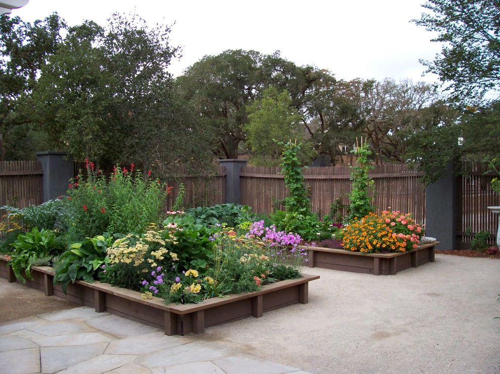 Mittelgroßer, Geometrischer Garten hinter dem Haus, im Frühling mit direkter Sonneneinstrahlung, Kübelpflanzen und Natursteinplatten in San Francisco