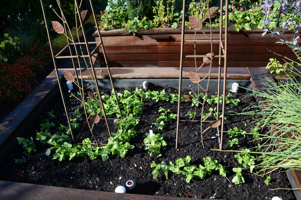 Mittelgroßer Klassischer Gemüsegarten hinter dem Haus mit direkter Sonneneinstrahlung und Natursteinplatten in Vancouver