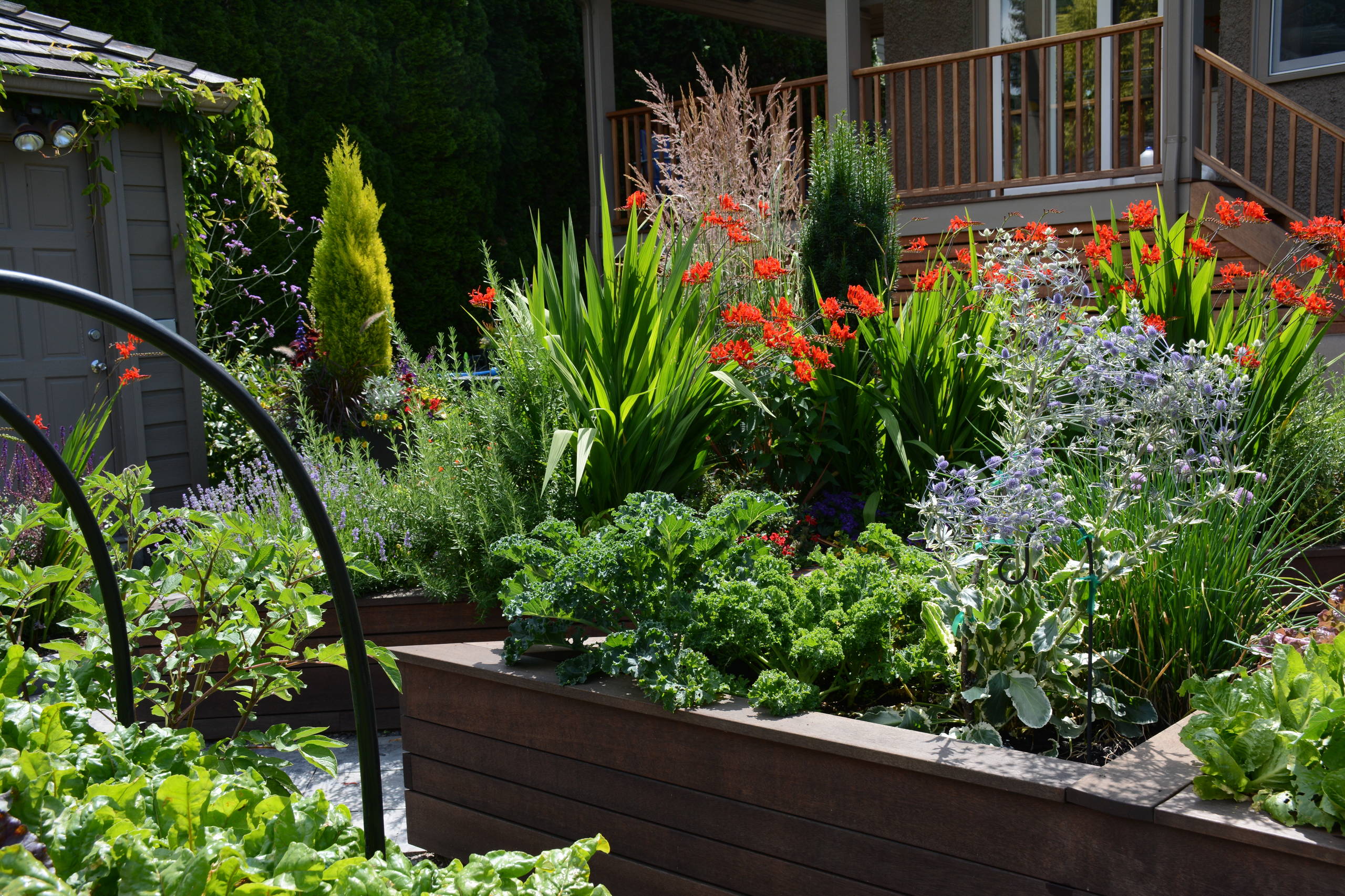 75 Transitional Vegetable Garden Landscape Ideas You'll Love - November,  2022 | Houzz