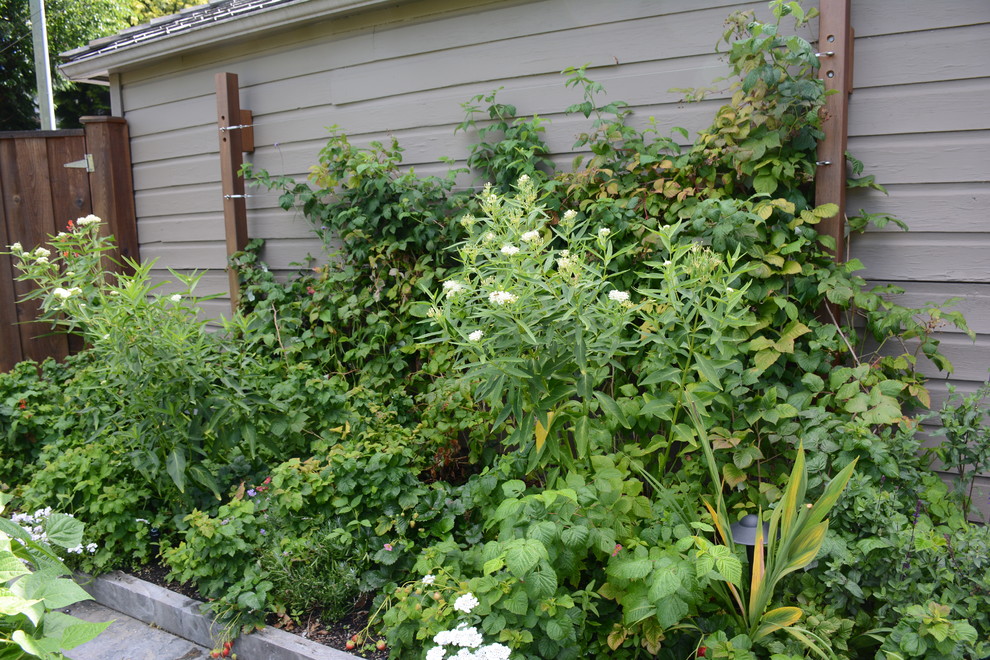 Photo of a mid-sized transitional full sun backyard stone vegetable garden landscape in Vancouver.