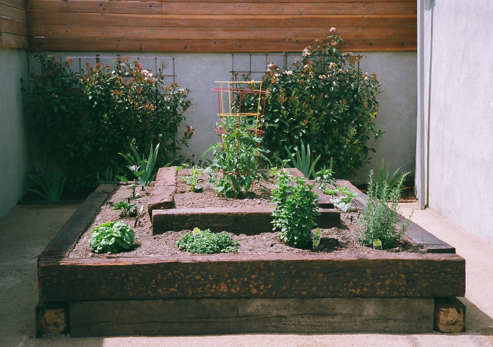 Photo of a small rustic full sun backyard stone landscaping in Los Angeles.