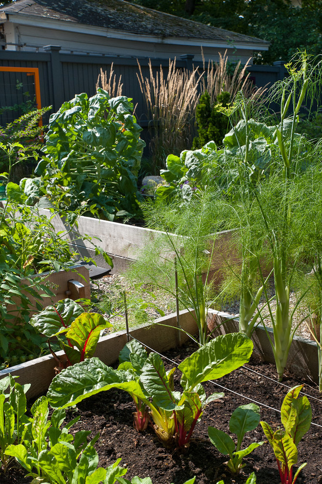 Ispirazione per un piccolo giardino eclettico esposto in pieno sole dietro casa