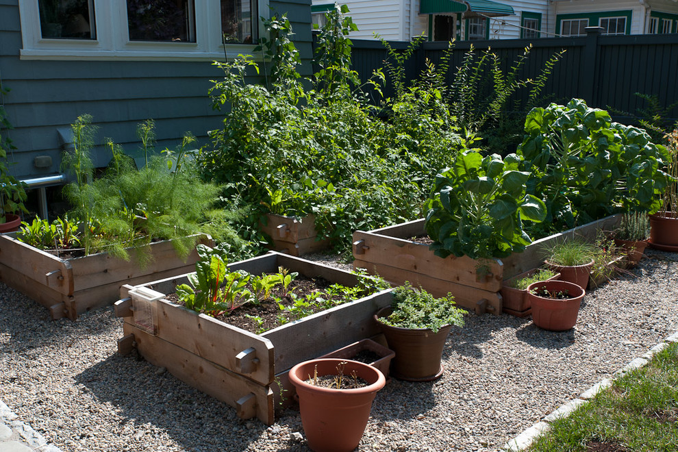 Design ideas for an eclectic full sun backyard vegetable garden landscape in Boston.