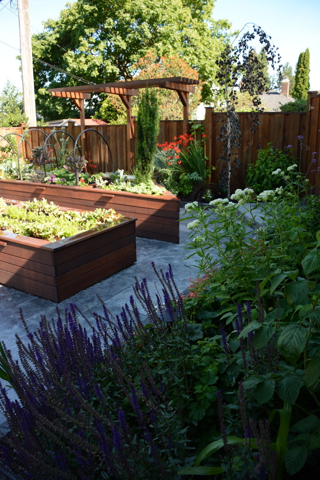 Свежая идея для дизайна: солнечный огород на участке среднего размера на заднем дворе в стиле неоклассика (современная классика) с хорошей освещенностью - отличное фото интерьера
