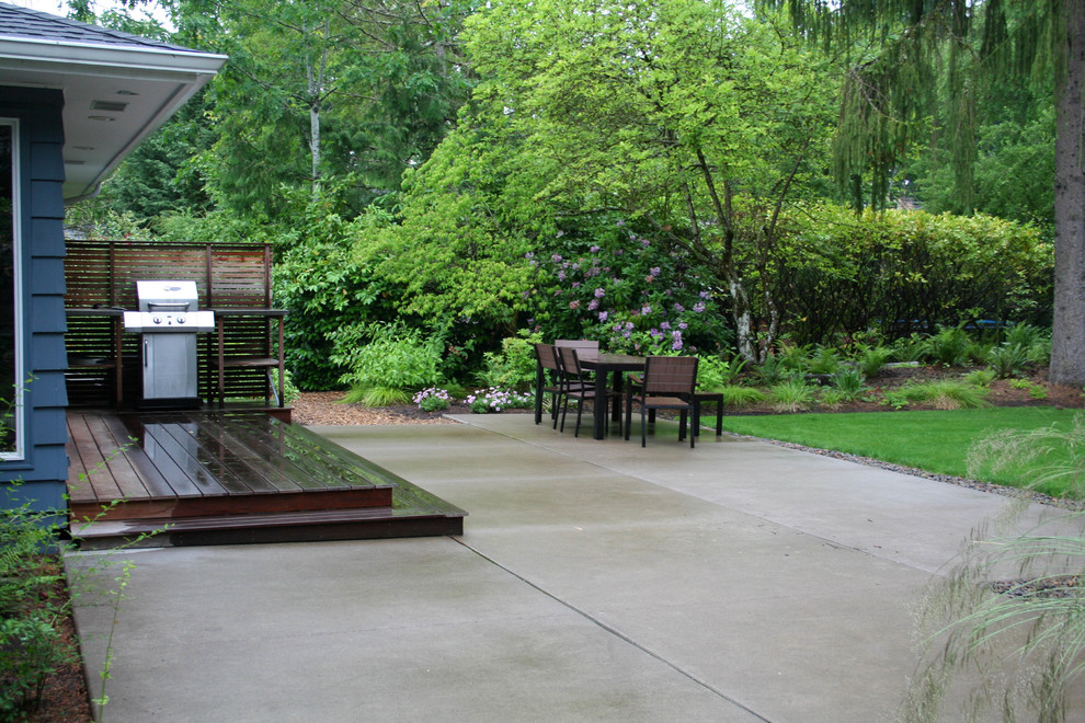 Modelo de jardín actual de tamaño medio en verano en patio trasero con exposición reducida al sol y adoquines de hormigón