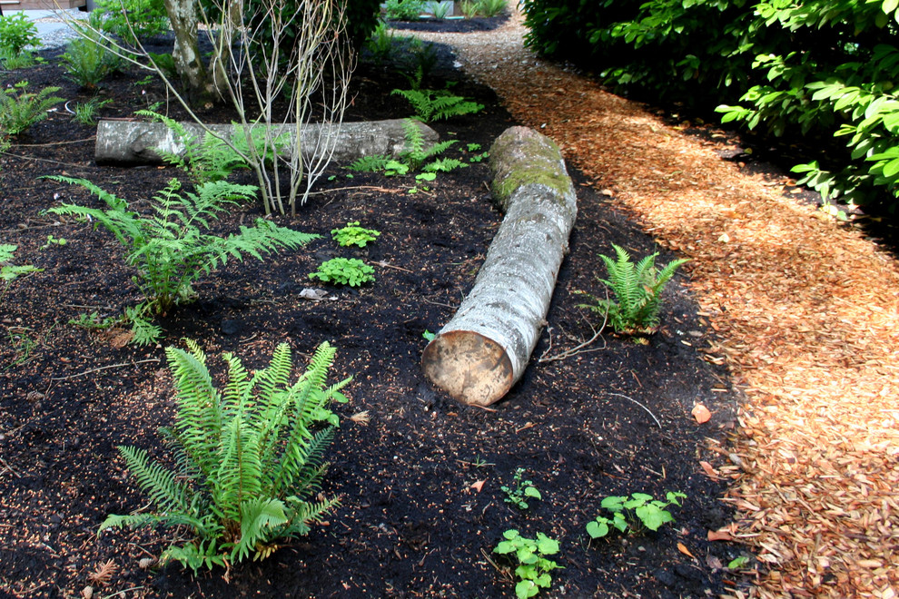 Design ideas for a contemporary shade backyard mulch landscaping in Portland.