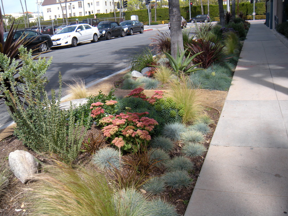 Photo of a large contemporary drought-tolerant and full sun front yard mulch landscaping in Los Angeles.