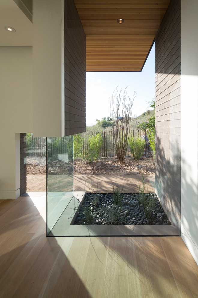 Inspiration for a contemporary xeriscape garden in Phoenix.