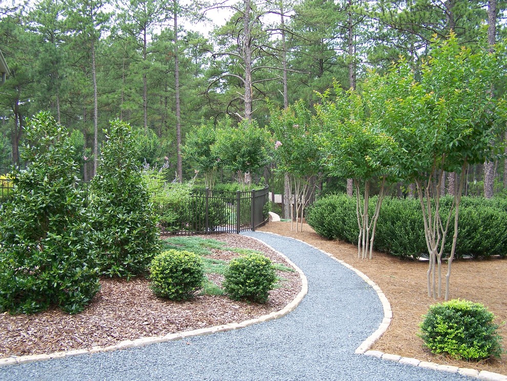 Design ideas for a contemporary garden in Raleigh with gravel.