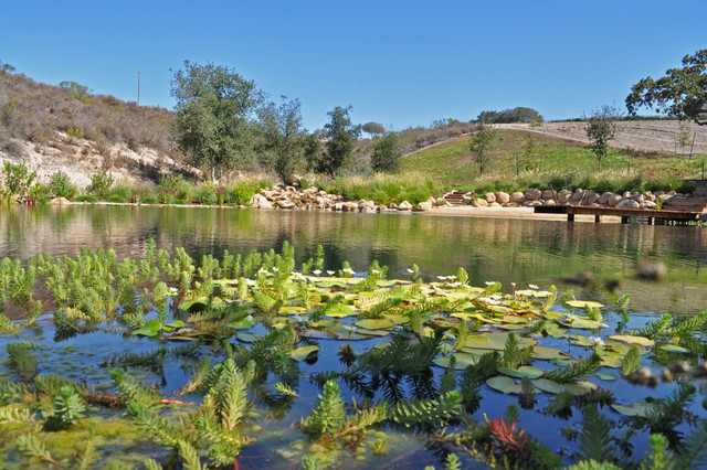 Ranch Reservoir & Nectar Garden w/ BioHaven Floating Island - Asian ...