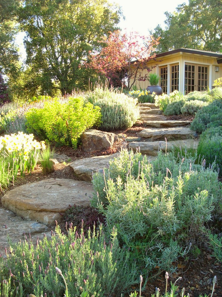 Rancho San Antonio Hills - Craftsman - Landscape - San Francisco - by ...