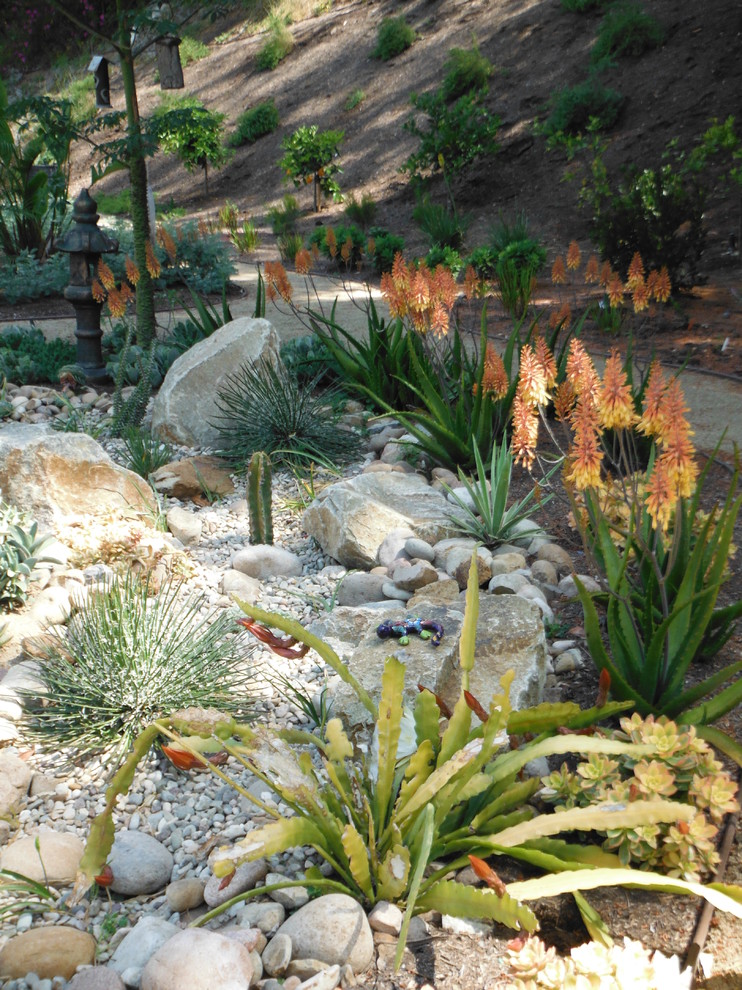 Foto di un grande giardino xeriscape mediterraneo esposto a mezz'ombra nel cortile laterale in estate con un ingresso o sentiero e ghiaia