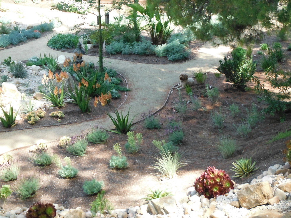 Idee per un grande giardino xeriscape mediterraneo esposto a mezz'ombra nel cortile laterale in estate con un ingresso o sentiero e ghiaia