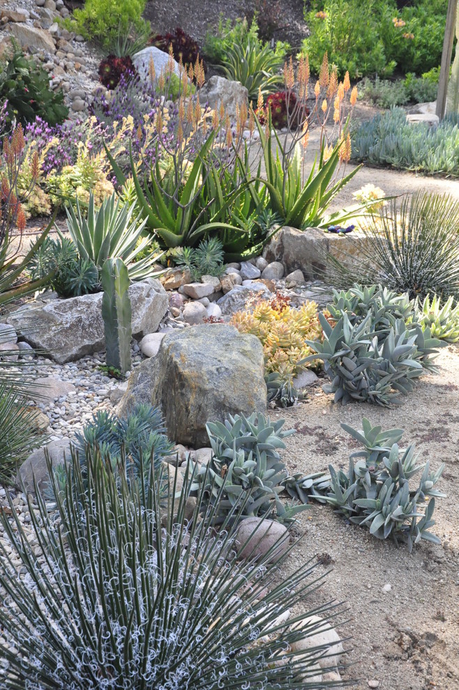 Esempio di un grande giardino xeriscape mediterraneo esposto a mezz'ombra nel cortile laterale in estate con un ingresso o sentiero e ghiaia