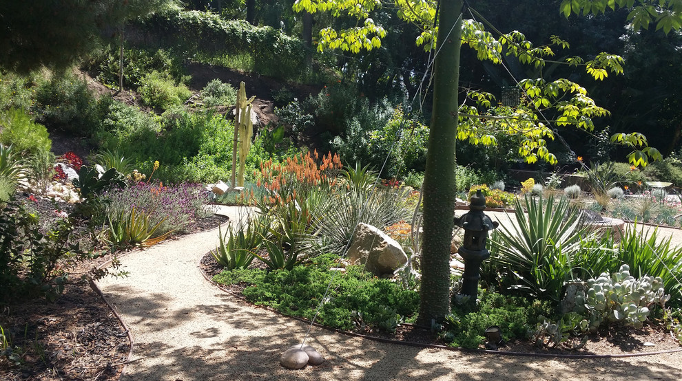 Immagine di un grande giardino xeriscape mediterraneo esposto a mezz'ombra nel cortile laterale in estate con un ingresso o sentiero e ghiaia