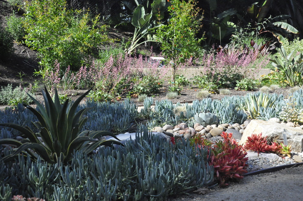 Стильный дизайн: большой летний засухоустойчивый сад на боковом дворе в средиземноморском стиле с садовой дорожкой или калиткой, полуденной тенью и покрытием из гравия - последний тренд