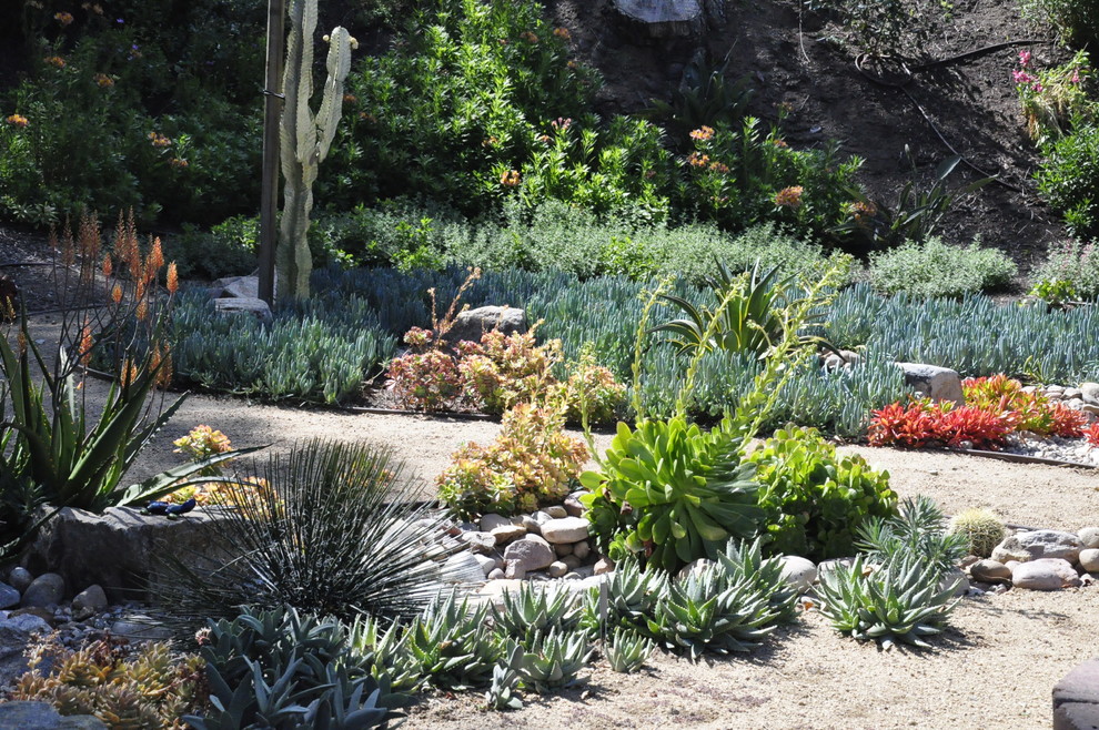 Photo of a large mediterranean drought-tolerant and partial sun side yard gravel garden path in San Diego for summer.