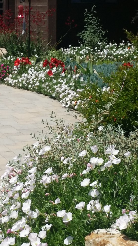 Idee per un grande giardino formale mediterraneo esposto in pieno sole nel cortile laterale in estate con un ingresso o sentiero e pavimentazioni in mattoni