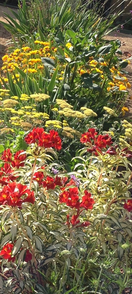 Esempio di un grande orto in giardino mediterraneo esposto in pieno sole dietro casa in estate
