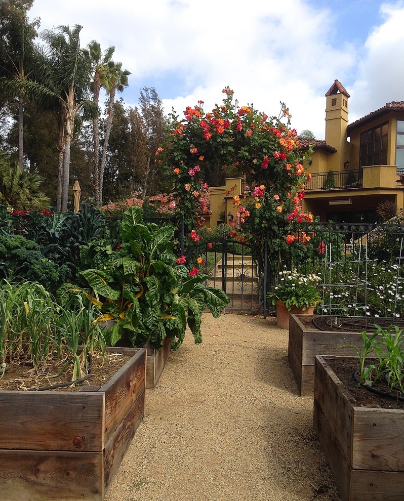 サンディエゴにある高級な広い地中海スタイルのおしゃれな庭 (日向、真砂土舗装) の写真