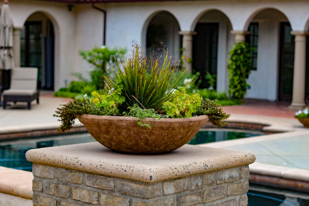 Ispirazione per un ampio giardino formale mediterraneo esposto in pieno sole dietro casa in primavera con un ingresso o sentiero e graniglia di granito