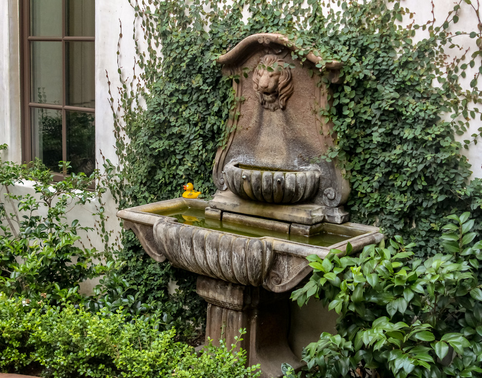 Immagine di un ampio giardino formale mediterraneo esposto in pieno sole dietro casa in primavera con un ingresso o sentiero e graniglia di granito