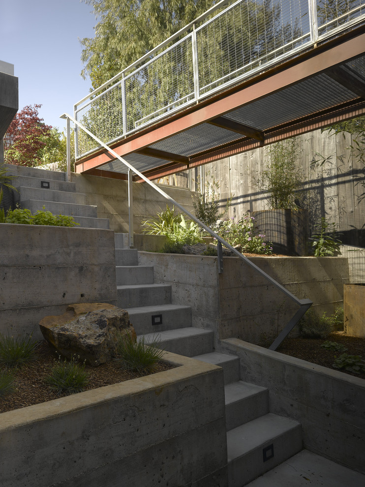 Medium sized modern back partial sun garden steps in San Francisco with concrete paving.