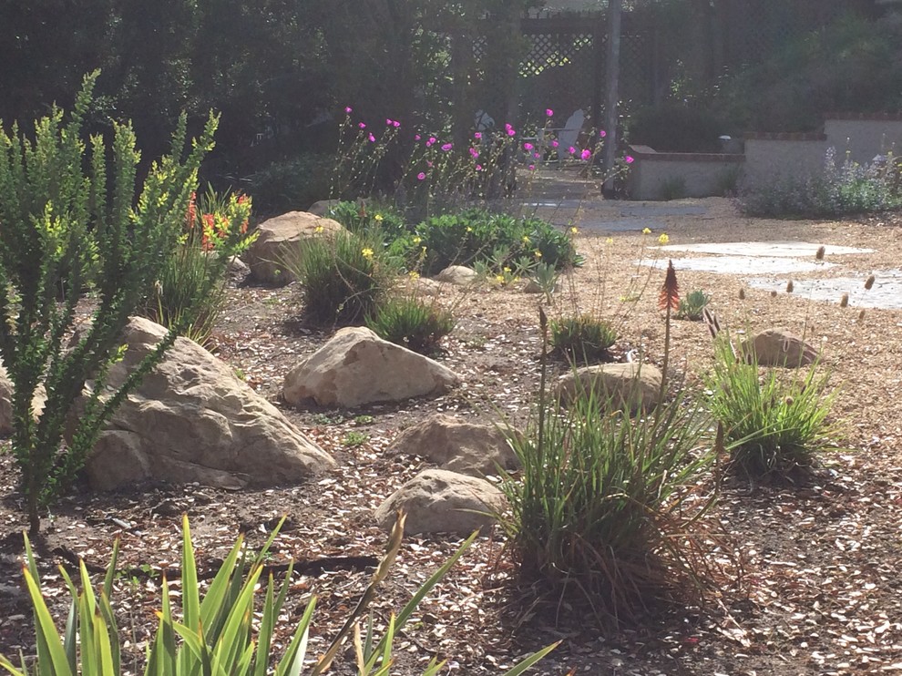 Immagine di un piccolo giardino xeriscape mediterraneo esposto in pieno sole dietro casa con un ingresso o sentiero e pavimentazioni in pietra naturale