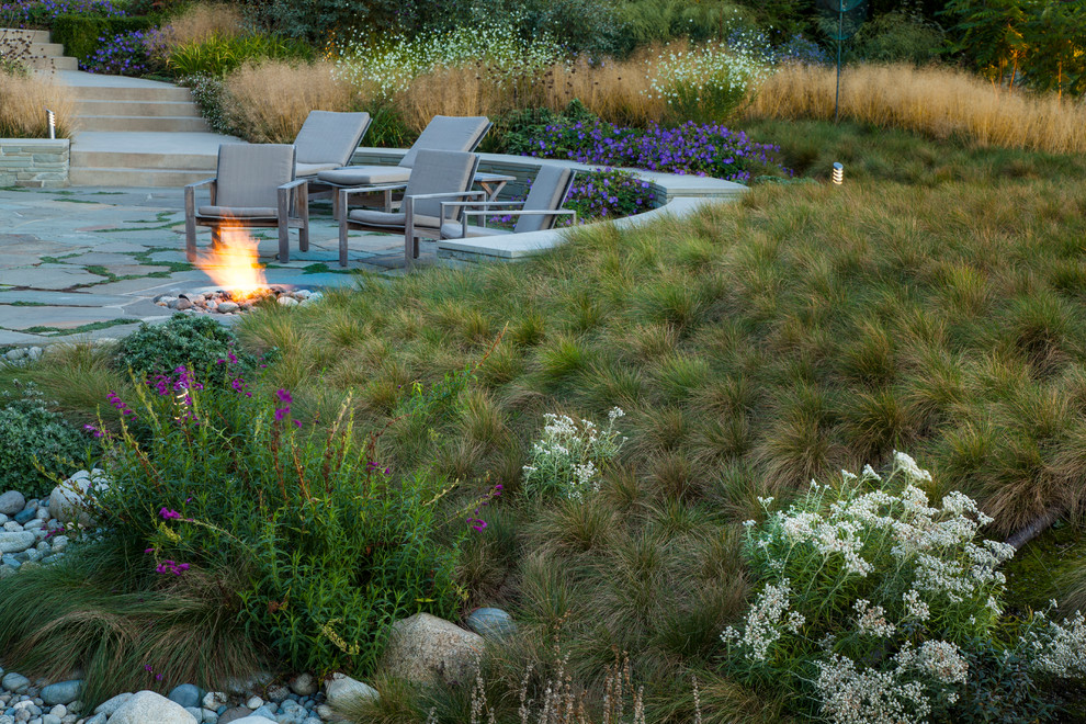 This is an example of a coastal landscaping in Seattle.