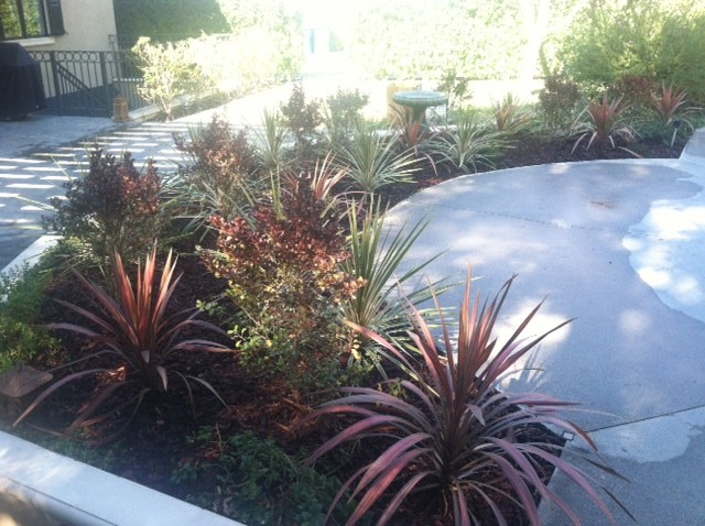 Photo of a mid-sized contemporary partial sun backyard concrete paver landscaping in Los Angeles.