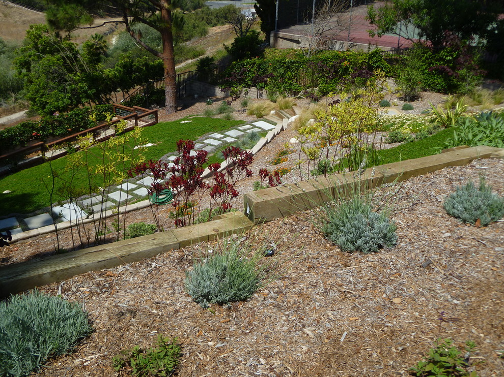 Idee per un grande giardino mediterraneo esposto in pieno sole dietro casa con un ingresso o sentiero