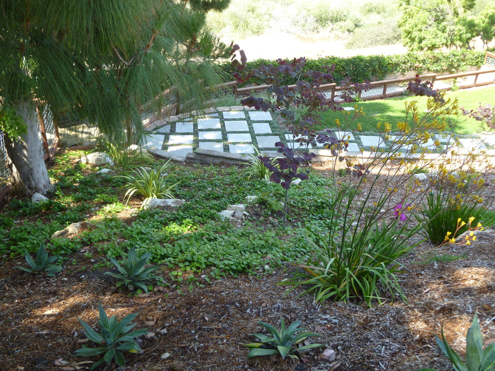 Large mediterranean back full sun garden in Los Angeles with a garden path.