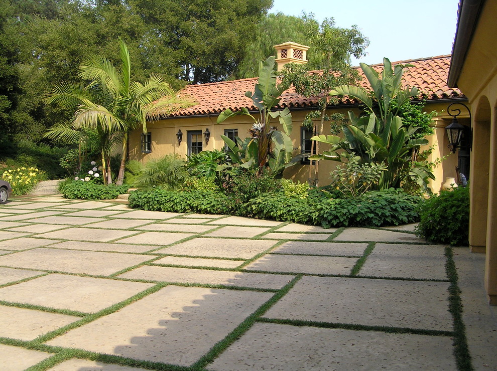 Idee per un grande vialetto d'ingresso tropicale esposto a mezz'ombra davanti casa con pavimentazioni in cemento
