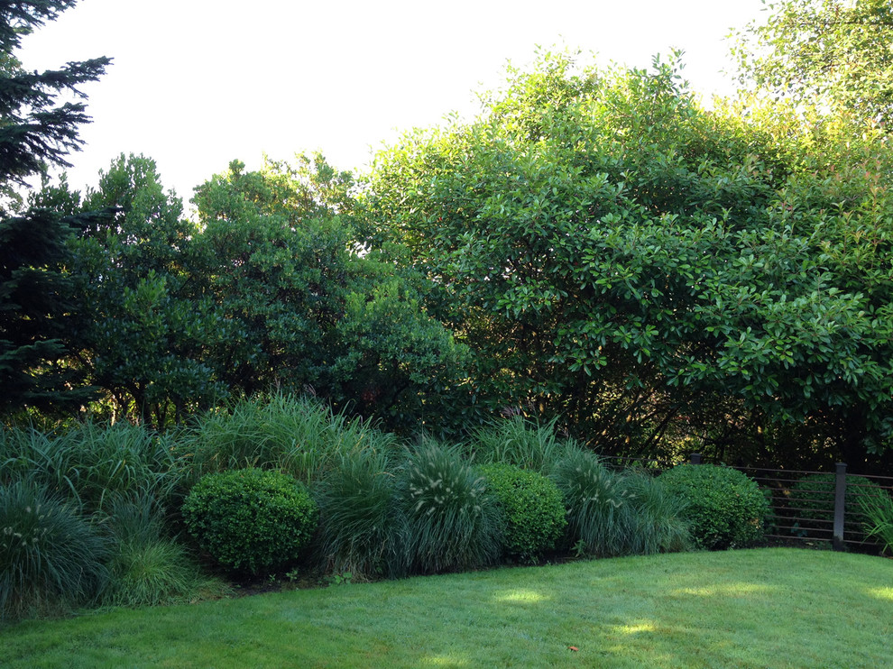 На фото: участок и сад на заднем дворе в классическом стиле с