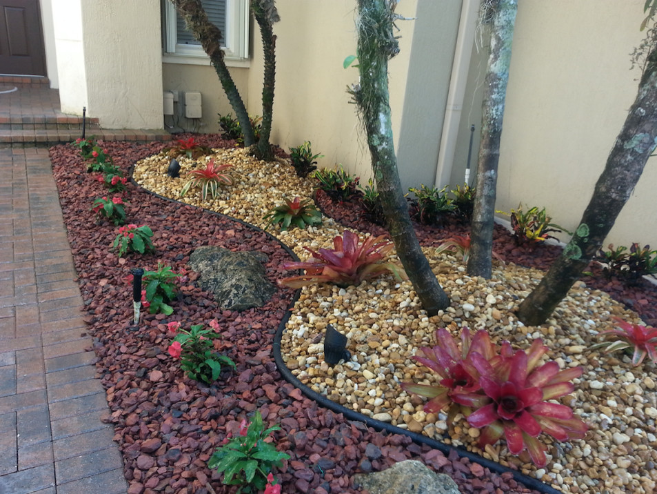 Foto di un giardino xeriscape stile americano esposto a mezz'ombra di medie dimensioni e davanti casa in primavera con un ingresso o sentiero e pavimentazioni in mattoni
