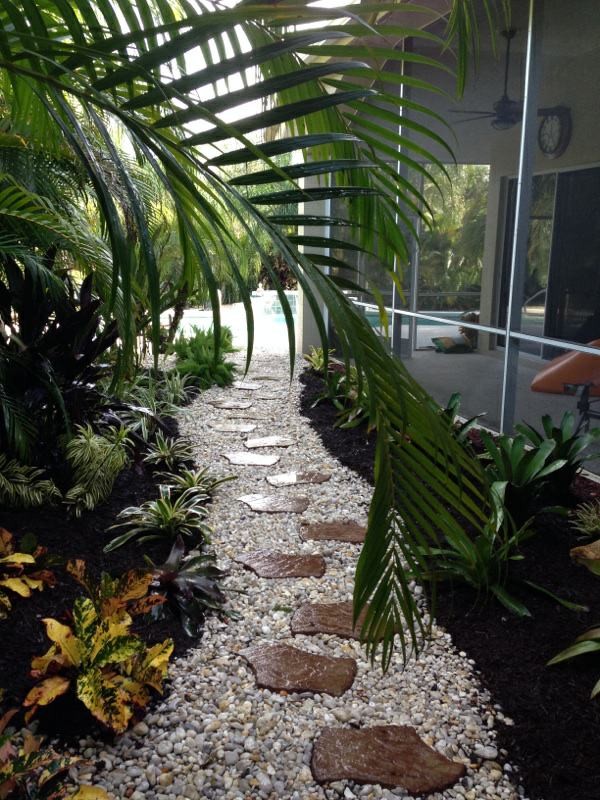 Esempio di un giardino formale tropicale esposto a mezz'ombra di medie dimensioni e dietro casa in primavera con un ingresso o sentiero e ghiaia