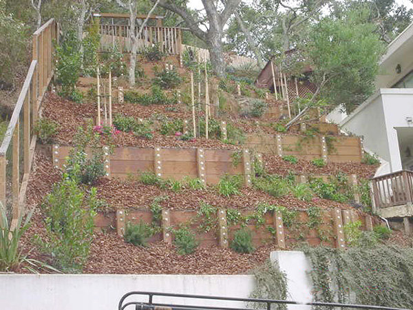 Imagen de jardín tradicional de tamaño medio en ladera con muro de contención, mantillo y exposición total al sol