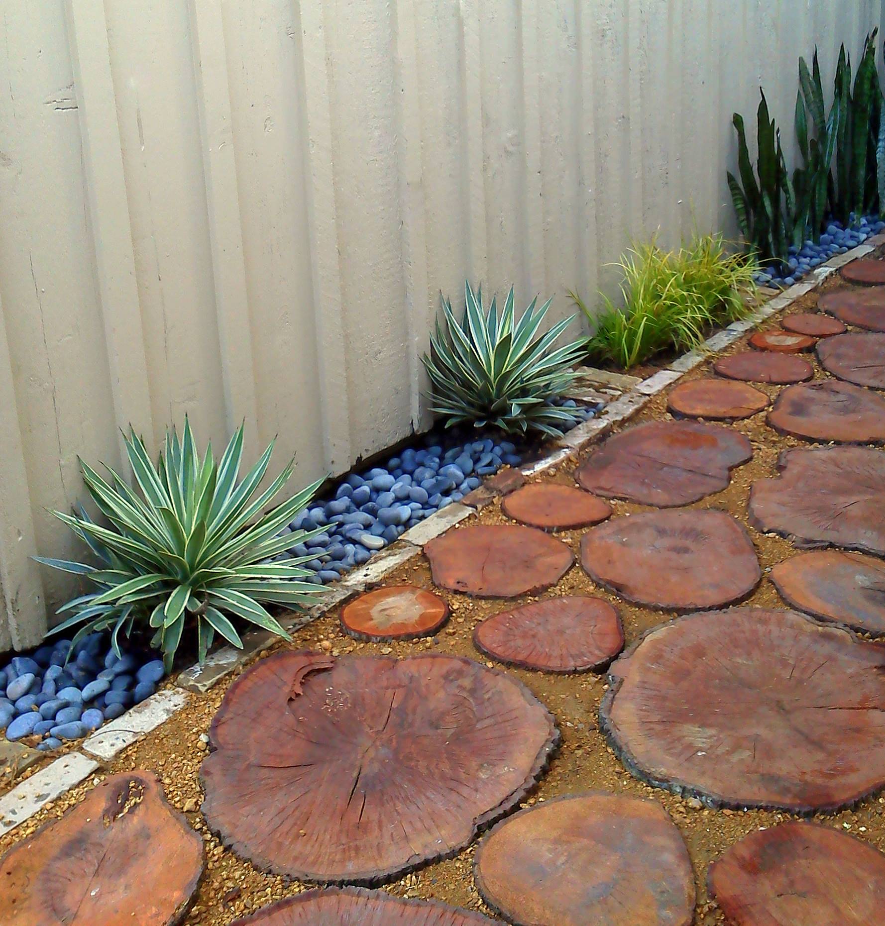 landscaping around tree stumps