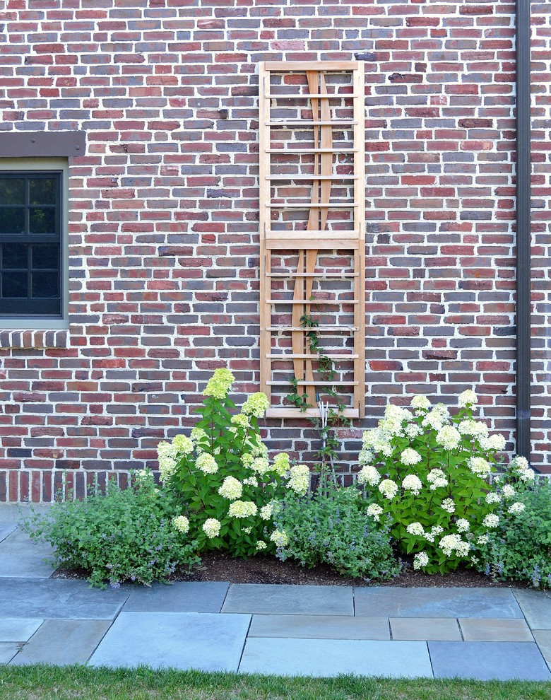 Red cedar trellis with climbing clematis and hydrangea. Traditional