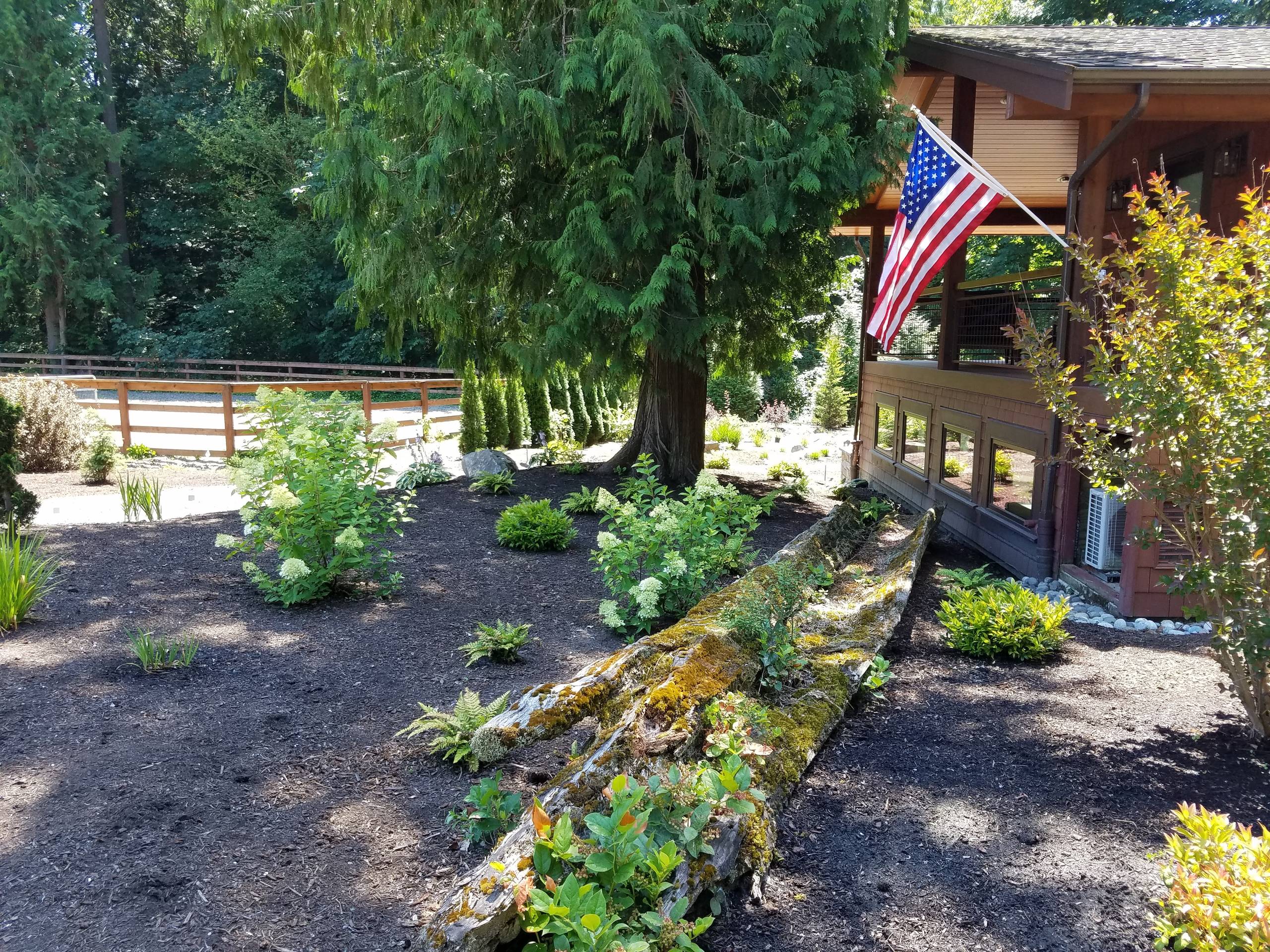 Crushed Bluestone Pathway - Photos & Ideas | Houzz