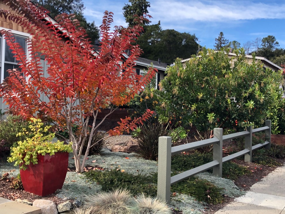 Photo of a medium sized mediterranean front xeriscape full sun garden for autumn in San Francisco with a garden path and natural stone paving.