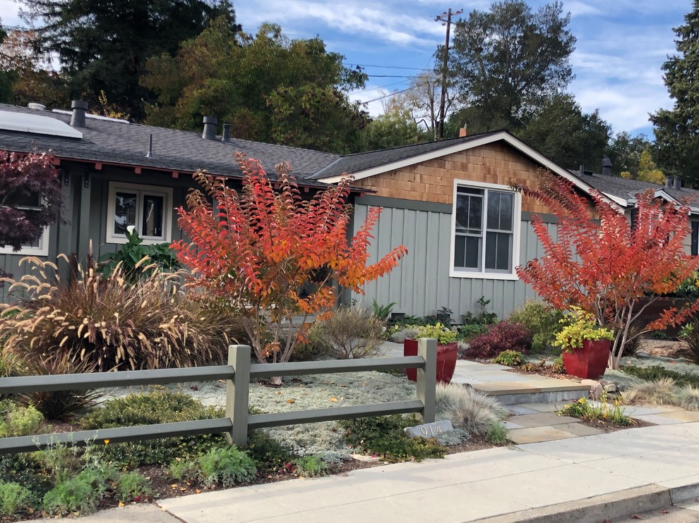 サンフランシスコにあるお手頃価格の秋の、中くらいな地中海スタイルのおしゃれな前庭 (ゼリスケープ、庭への小道、日向、天然石敷き) の写真