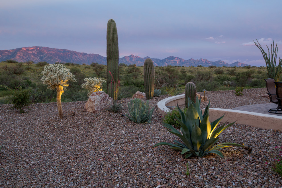 Design ideas for a large modern back full sun garden in Phoenix with a retaining wall and gravel.