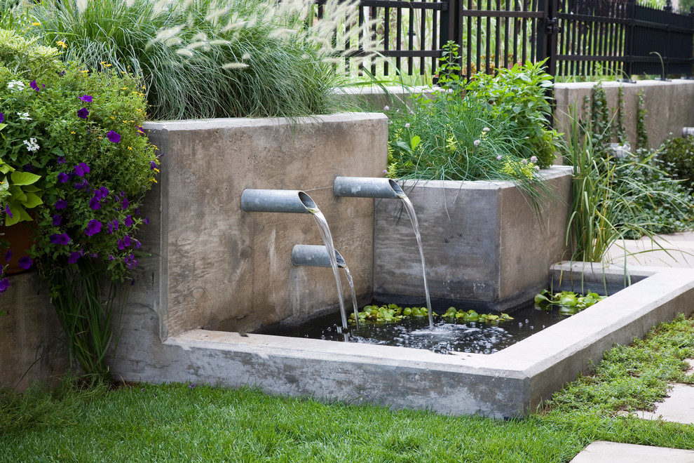 Design ideas for a contemporary garden in Denver with a water feature.