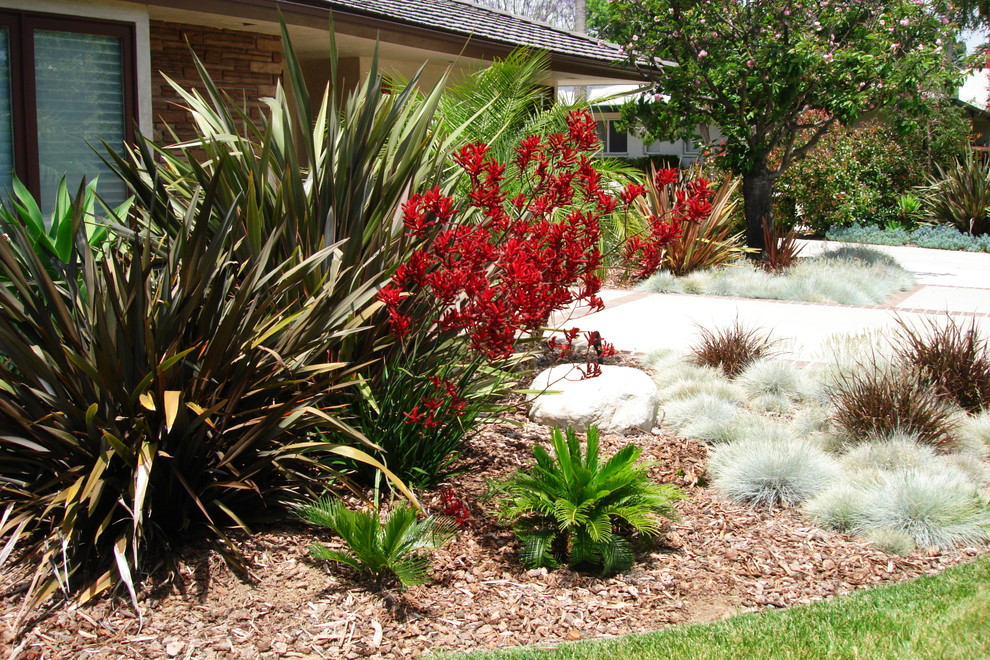 Diseño de jardín de secano mediterráneo grande en patio delantero con exposición parcial al sol y adoquines de ladrillo