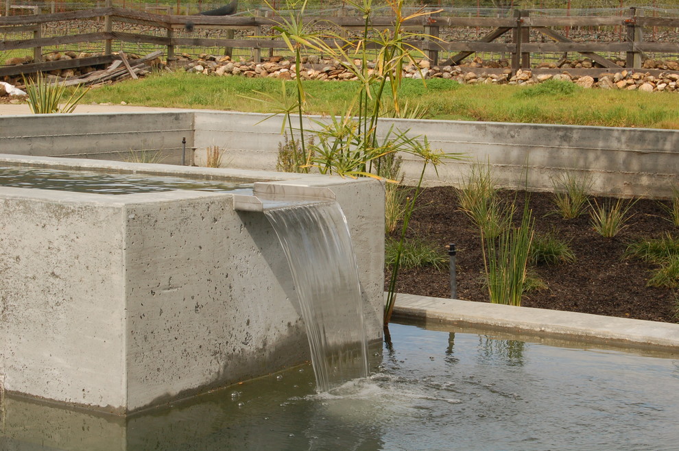 This is an example of a modern garden in San Francisco with a water feature.