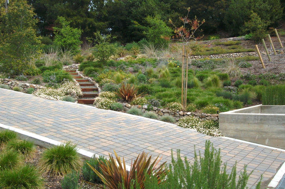 Design ideas for a contemporary garden in San Francisco with a retaining wall.