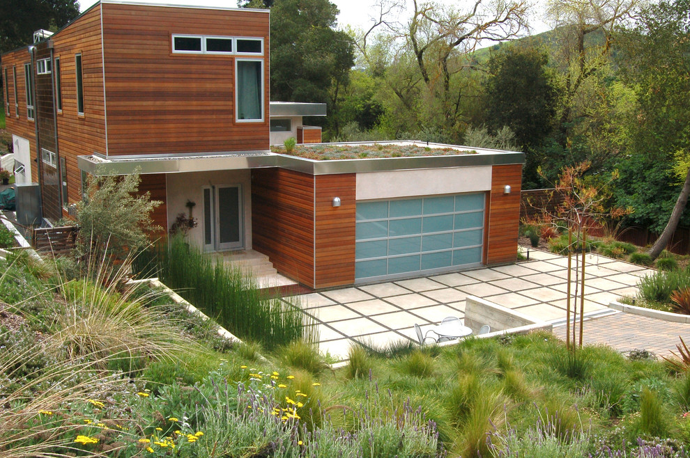 Inspiration for a contemporary retaining wall landscape in San Francisco.